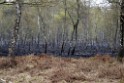 Waldbrand Wahner Heide Troisdorf Eisenweg P093